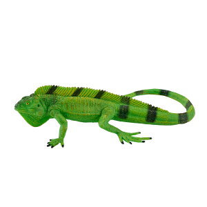 �C�O�A�i / mojo ���� ঒��� ���v�^�C���Y �t�B�M���A