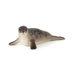 nCCAUV / mojo  C tBMA