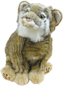 Rɓʂ݁wANIEPAL-Ajp-x/ }klR