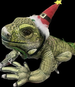 yԌ聚NX}XXqtzRɓʂ݁wANIEPAL-Ajp-x/ COAi