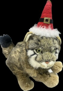 yԌ聚NX}XXqtzRɓʂ݁wANIEPAL-Ajp-x/ }klR