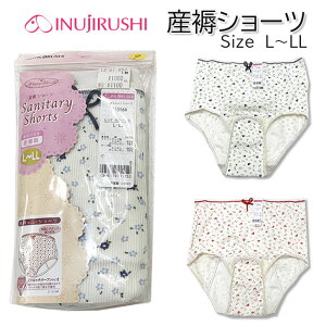 y󂠂菤izy[֑ΉzINUJIRUSHI YV[c C1016R 񂶂傭V[c Y 񂶂傭 }^jeB V[c pc }^jeB[pc oY Dw DP YO Y @