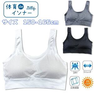 y[֑Ήz̈deCi[ WjAn[tgbv [150/160/165cm] q K[Y X|[cu ugbv uW[ u   Jbvtu Ci[ X|[c  s ւ 