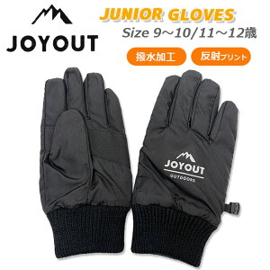 yP10{z[[֑] 2025~ JOYOUTy5{wzLbYWjA h [9ˁ`12] WCAEg q XL[ Xm[ O[u 1011  ubN  V h h j̎q 