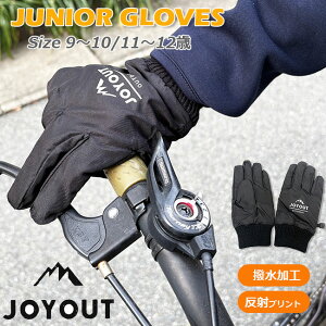 yP10{z[[֑] 2025~ JOYOUTy5{wzLbYWjA h [9ˁ`12] WCAEg q XL[ Xm[ O[u 1011  ubN  V h h j̎q 