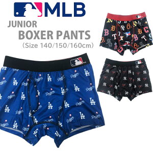 y[֑ΉzyMLB W[[OzWjA {NT[pc [140/150/160cm] LbY B24N4E2A/2F/2E jq LbYOJ^Cv {NT[u[t   W[Sc hW[X L[