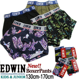 yԌSALEzEDWIN GhEB LbY KIDS {NT[pcy4ށzvŐSnǂ j̎qV[cłB WjA q j̎q  pc V[c  lC v[g  