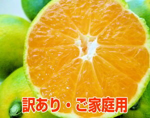 a̎RY ɑ݂ 󂠂/ƒp 10kgyz