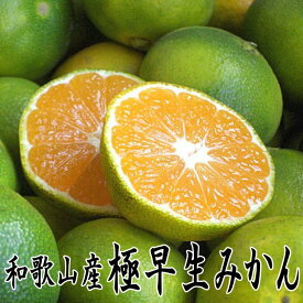 楽天市場 酸っぱい みかんの通販