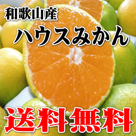 楽天市場 みかん 箱 買いの通販 楽天市場 みかん 箱 買いの通販