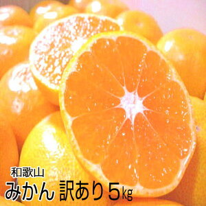 ZȖ̉B݂ 5kgyƂ󂠂EƒpzƂ낯yza̎RY