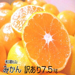 yza̎RY ZȖ̉B݂7.5kg@yƂ󂠂EƒpzƂ낯I