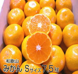 B݂ STCY 7.5kgi90jZȖ̂Ƃ낯 a̎RY 