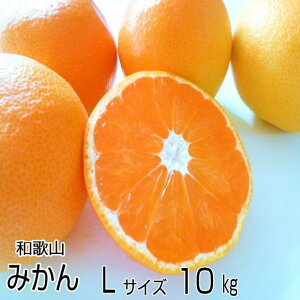 B݂ LTCY10kgi80jya̎R݂z Ƃ낯