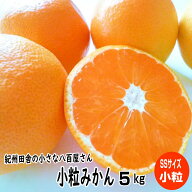 温州みかん 小粒 SS(2S)サイズ 5kg 和歌山産 送料無料 濃厚小玉みかん