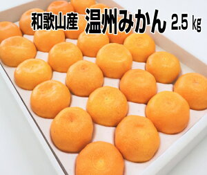 x̉B݂ LTCY@2.5kg a̎RY  ZȖ̂Ƃ낯 ϔ