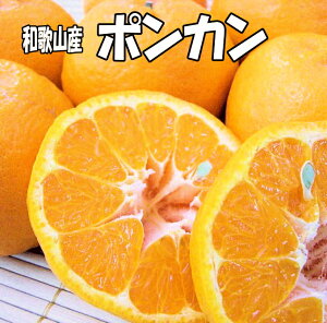 �����x�|���J���y�󂠂�E�ƒ�p�z7kg �a�̎R�Y ��������