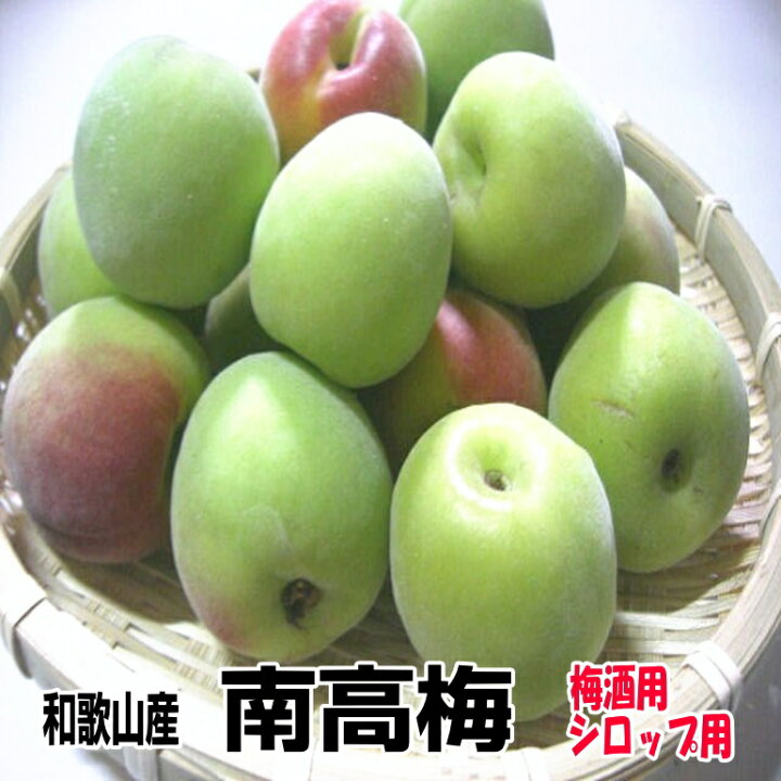 楽天市場】青梅 紀州南高梅 2L・3L 3kg 梅シロップ用 梅酒用 和歌山産 