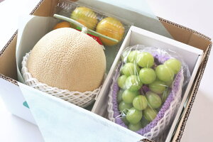 {̃t[cZbg IMtg t[clߍ킹/Mtg/v[g  7980