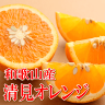 清見オレンジ【訳あり】2.5kg 和歌山産 送料無料