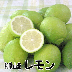 Yia̎RYjO[/ Gi 1kg hܕsgp m[bNX