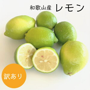 Yia̎RYjO[/ 󂠂 5kg hܕsgp m[bNX