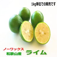 国産（和歌山産）ライム 1kg【ノーワックス・防腐剤不使用】少し訳あり