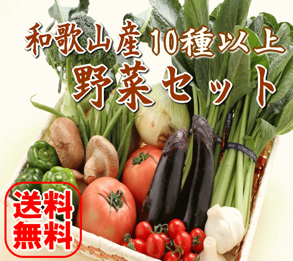新鮮野菜詰め合わせ 産地直送 送料無料 想像を超えての 低価格の 紀州和歌山から旬の野菜を詰め合わせました 10種以上 父の日 野菜セット ギフト 母の日