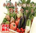 【送料無料】紀州和歌山から旬の野菜を詰め合わせました！ 10種以上【野菜セット】