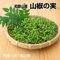 【楽天ランキング受賞】 和歌山産　山椒の実（生） 500g ぶどう実山椒/朝倉山椒【実山椒】【クール便】