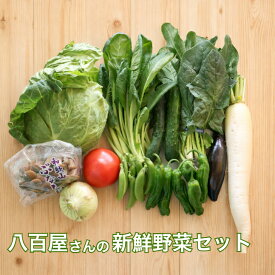 【楽天ランキング受賞】 野菜詰め合わせセット 10種・13種以上 送料無料【野菜セット】和歌山産中心 ギフト