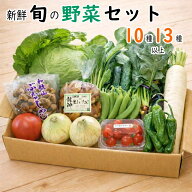 【楽天ランキング受賞】 野菜詰め合わせセット 10種・13種以上 送料無料【野菜セット】和歌山産中心 ギフト