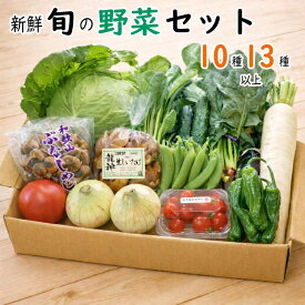 【楽天ランキング受賞】 野菜詰め合わせセット 10種・13種以上 送料無料【野菜セット】和歌山産中心 ギフト
