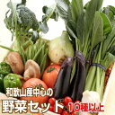 野菜詰め合わせセット 10種・13種以上 送料無料【野菜セット】和歌山産中心 ギフト