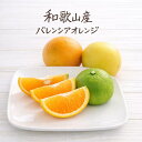 【楽天ランキング受賞】 訳あり バレンシアオレンジ 2.5kg めずらしい国産オレンジ 和歌山産 送料無料