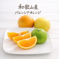 【楽天ランキング受賞】 訳あり バレンシアオレンジ 7kg めずらしい国産オレンジ 和歌山産 送料無料