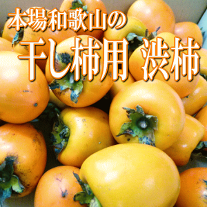 yza̎RY@邵`E`E`pa`@4.5kg ƒp