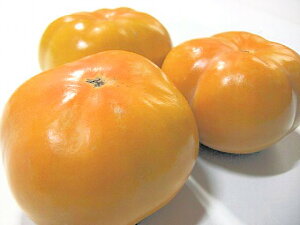 Y` L/2LTCYi12`18j3kg a̎RY/mY 
