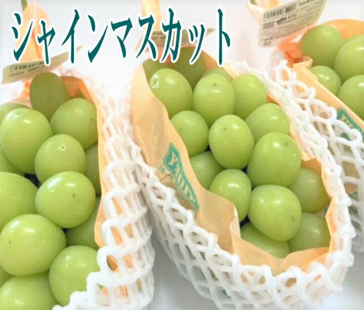 楽天市場】シャインマスカット 約1.2～1.4kg（2房）和歌山産・香川産 