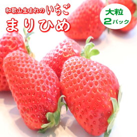 【送料無料】和歌山生まれの新品種イチゴ≪まりひめ≫大粒2パック クール便無料