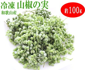 冷凍 山椒の実・ぶどう山椒/朝倉山椒 100g 令和7年産 和歌山産 【実山椒】【冷凍便】