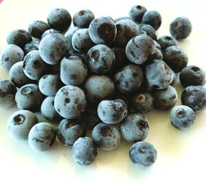 Y̗Ⓚu[x[ 500g ya̎RYzTCYsI Ⓚ