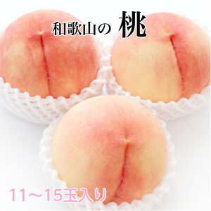 �������`���� 11�`15�ʓ���i��3.8kg�j�a�̎R�Y ��������