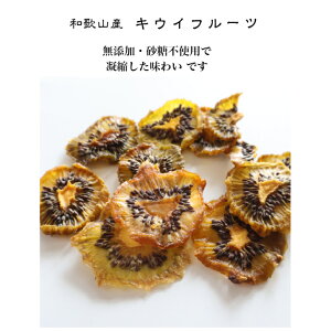 キウイドライフルーツ 無添加 砂糖不使用 国産 20g