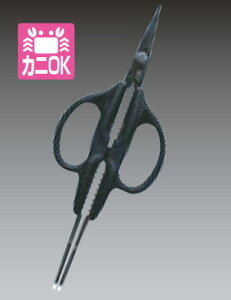 y[֔z\zJjtH[NnT~y͂݁zyLb`oT~z