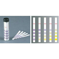 3M���硼�ȥ˥󥰥�˥���(20����)H/SM20�ڻ����������ۡڥ��硼�ȥ˥󥰥�˥����ۡڿ������ƥ�������