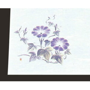 ڎO ΂܂ RۉԘa(100)WS-16 y~}bgzyΗz