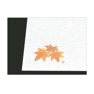 Vԓ ~ l(100)NY-17 ݂y~zyopz