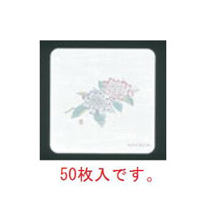 �a���R�[�X�^�[ �l�G �p�^(50����)WCO-K5 ���������y�R�[�X�^�[�z