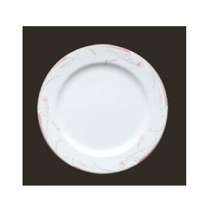 t[sN 23cm v[g OFM01-209yv[gzyMz